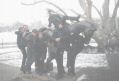 Запорожье. Лошадь и не такое вытерпит